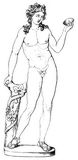 Fig. 47: Bacchus